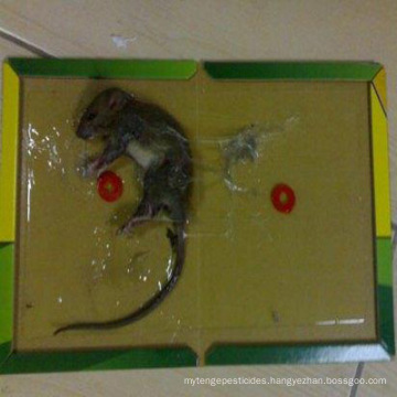 Anti Mice Rat mouse trap with customized